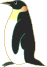 CEO