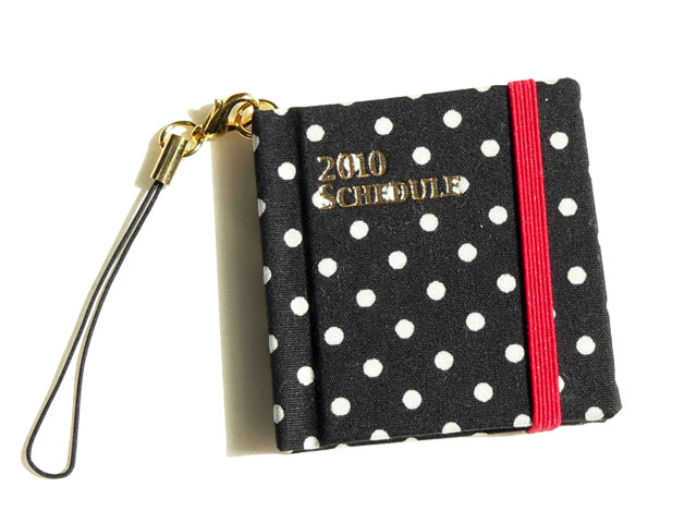 2010 Schedule Strap