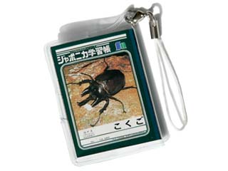 ジャポニカ学習帳　こくご